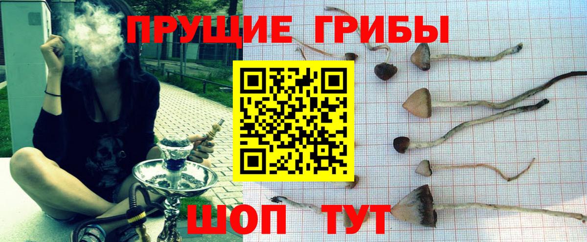 Псилоцибиновые грибы Cubensis  Вход с VPN  Ипатово 