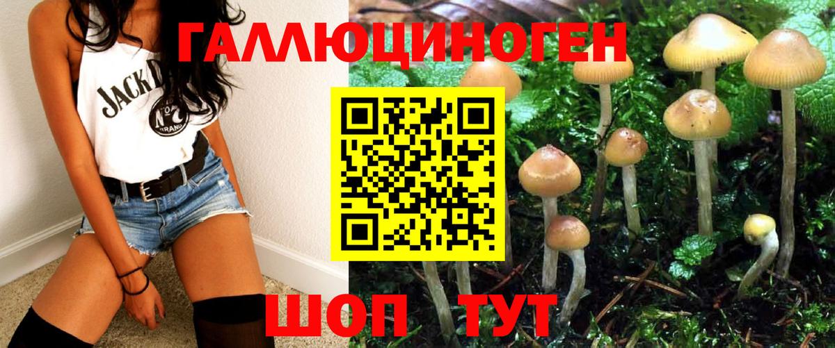Псилоцибиновые грибы мицелий Ипатово